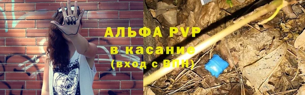 ECSTASY Армянск