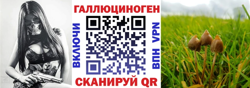 Галлюциногенные грибы Magic Shrooms  наркота  Нижний Ломов 
