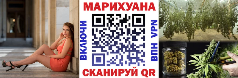 где найти   Нижний Ломов  Канабис планчик 